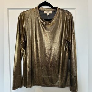 NWT Anthropologie Porridge Mesh Shine Long Sleeve Top